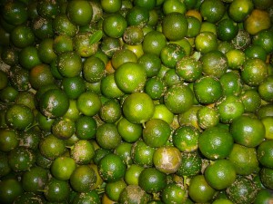 P1110328